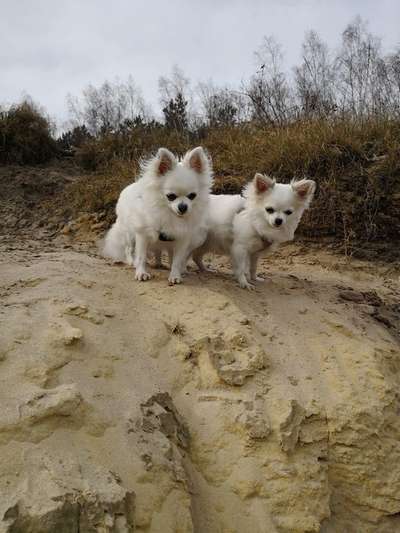 Fotochallenge Nr 107-Beitrag-Bild