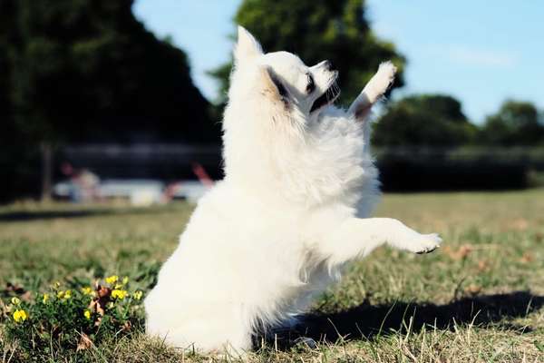 Zeigt eure Portraits-Beitrag-Bild