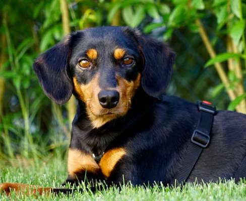 Zeigt eure Portraits-Beitrag-Bild