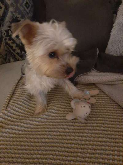 Un...scharf Bilder-Beitrag-Bild