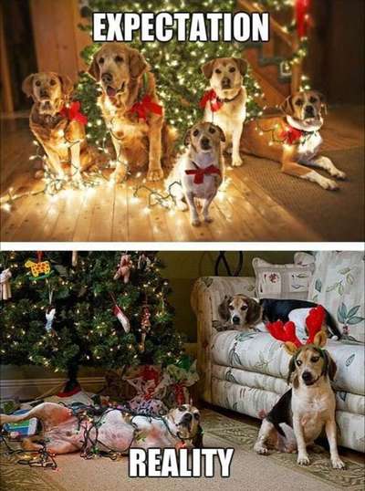 Hier ist der Spaßthread. Zum Schmunzeln und Kaputtlachen-Beitrag-Bild