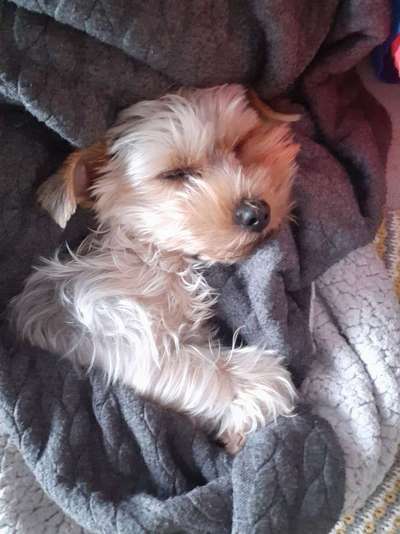 Schlafzeit!💖-Beitrag-Bild