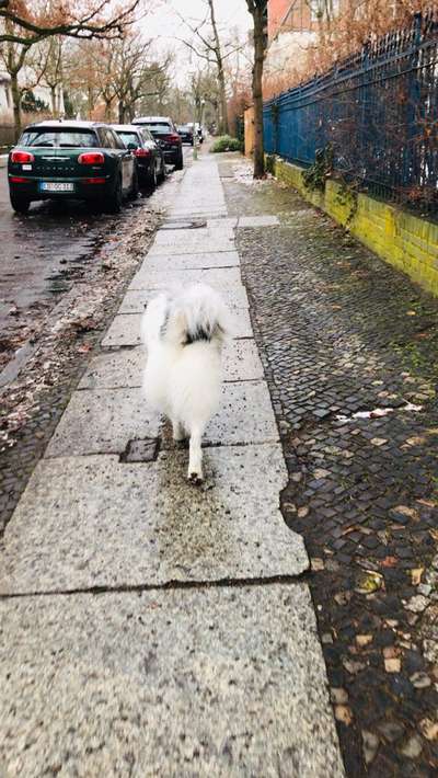 Zeigt mir eure Lieblingsfotos ♡♡-Beitrag-Bild