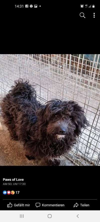 Foto Challenge 82-Beitrag-Bild