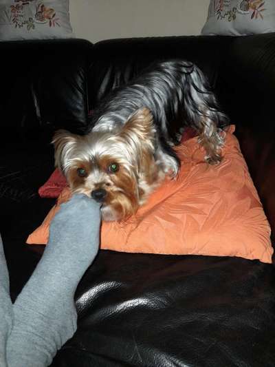 Fotochallenge Nr. 64-Beitrag-Bild