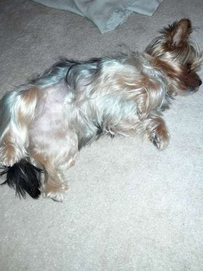 Fotochallenge Nr.65-Beitrag-Bild