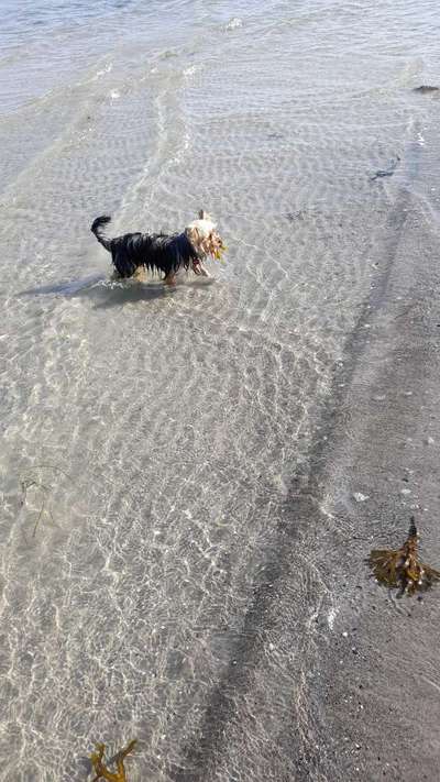 FOTOCHALLANGE NR.71 BADEFREUDE-Beitrag-Bild