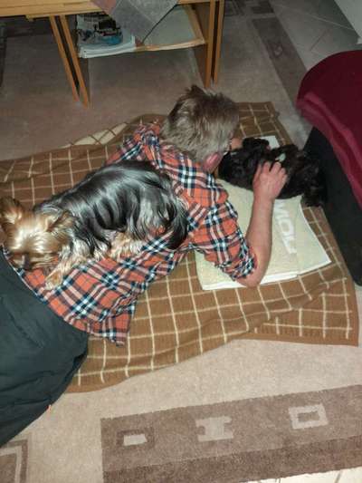 Hundmenschfotos-Beitrag-Bild