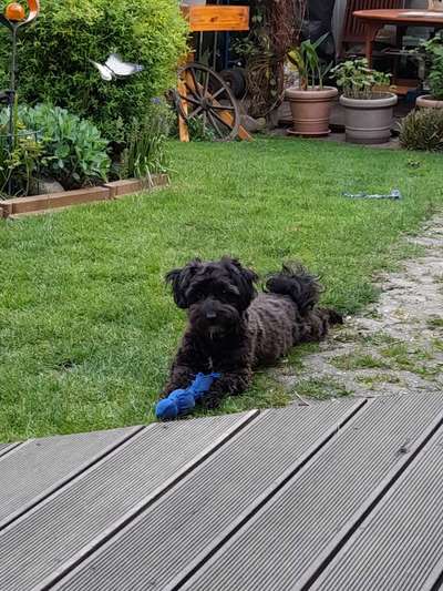 Lieblingsbild-Beitrag-Bild