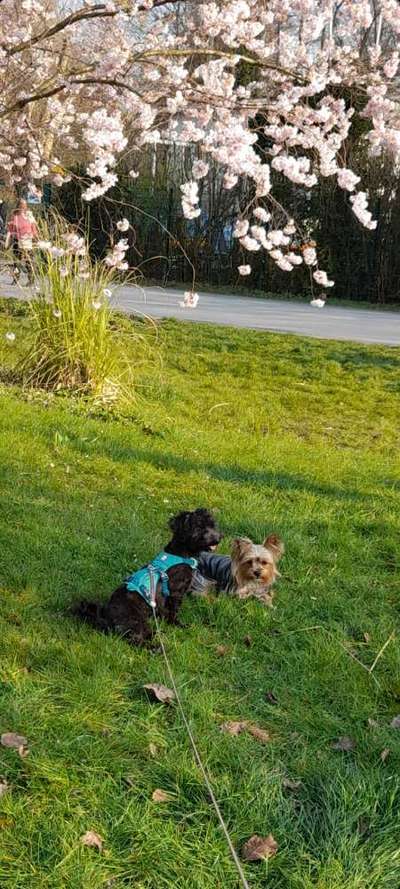 Fotochallenge 78

Es grünt und blüht-Beitrag-Bild