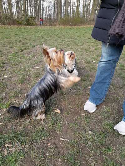 Un...scharf Bilder-Beitrag-Bild