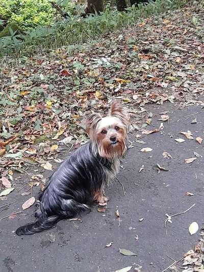 Lieblings Fotos-Beitrag-Bild