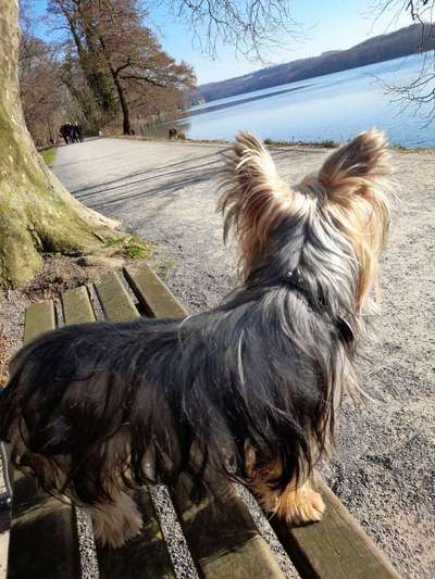 Fotowettbewerb Natur-Beitrag-Bild