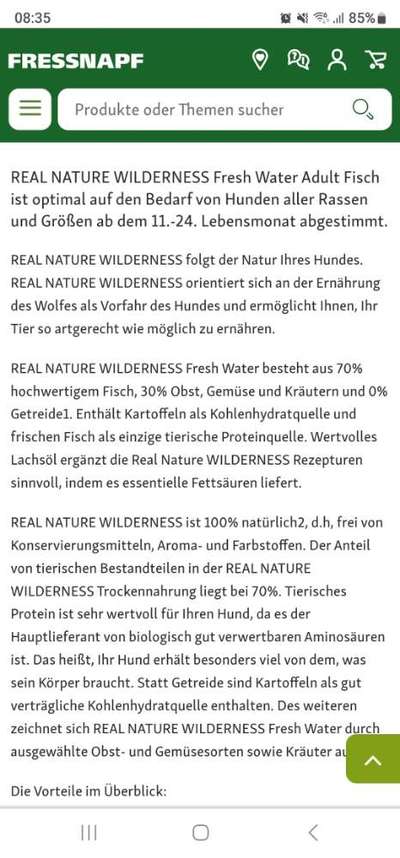 Französische Bulldoggen-Beitrag-Bild