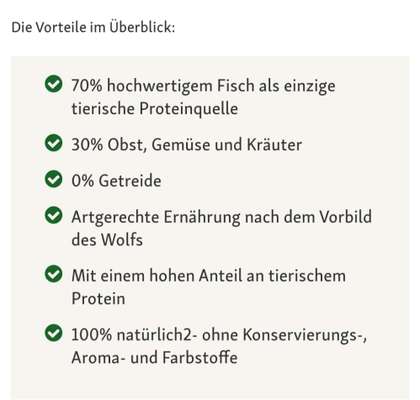 Französische Bulldoggen-Beitrag-Bild