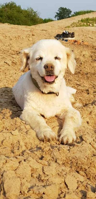 Fotochallenge Nr. 56 - geliebte Senioren-Beitrag-Bild