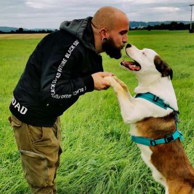 Hundetreffen-Freilaufen-Profilbild