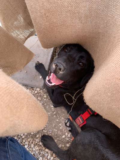 Lieblingsbild-Beitrag-Bild