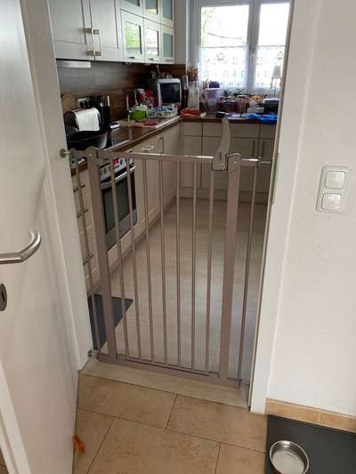 Verhaltensprobleme/-Auffälligkeiten-Beitrag-Bild