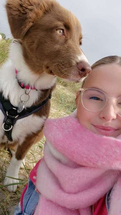 Hundetreffen-Social Walk/ Training / Hundekumpels gesucht ❤️-Bild