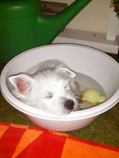 CHALLENGE NR. 34 - Liege-/Schlafpositionen-Beitrag-Bild