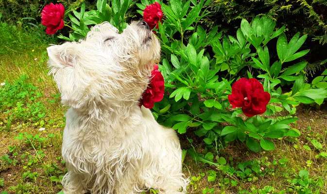 Lieblingsbild-Beitrag-Bild