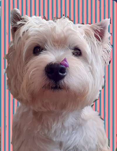 Fotochallange Nr. 57     PORTRÄT.   Beendet!!!!!!!!-Beitrag-Bild