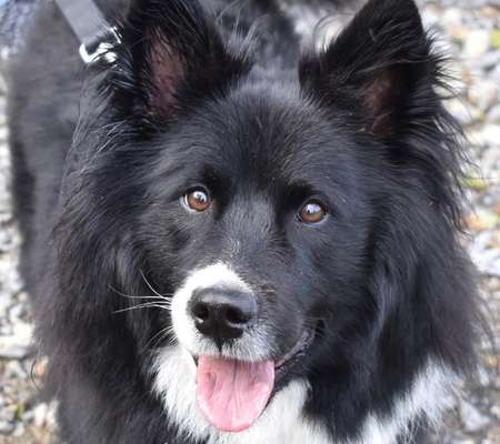 Fotochallange Nr. 57     PORTRÄT.   Beendet!!!!!!!!-Beitrag-Bild