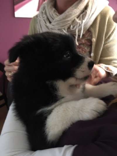 Lieblingsbild-Beitrag-Bild