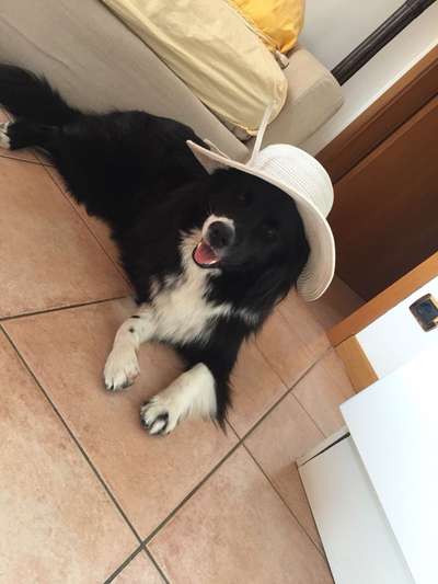 Lieblingsbild-Beitrag-Bild