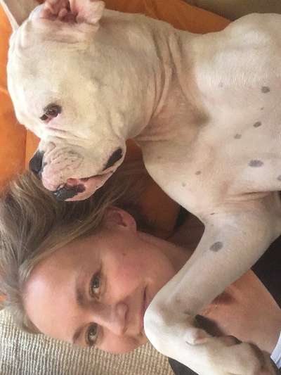 Deutsche Boxer-Beitrag-Bild