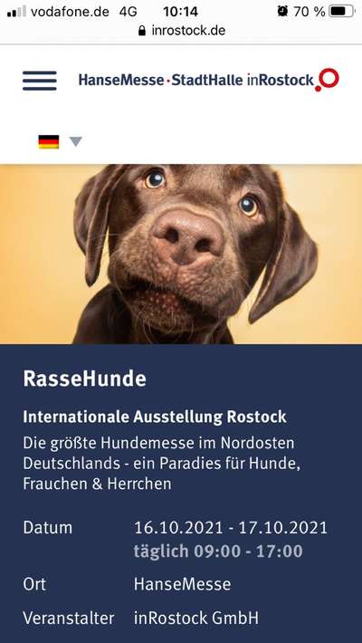 Deutsche Boxer-Beitrag-Bild