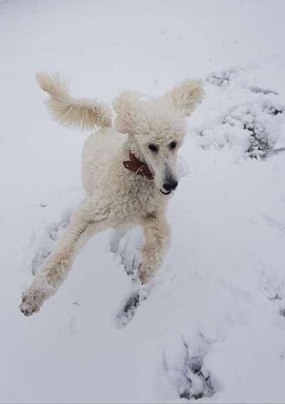 Fotochallange 84-Beitrag-Bild