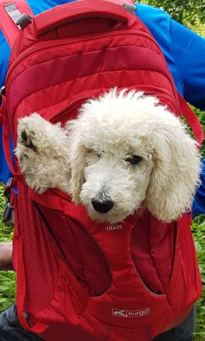 Fotochallenge 101:
On Tour-Beitrag-Bild