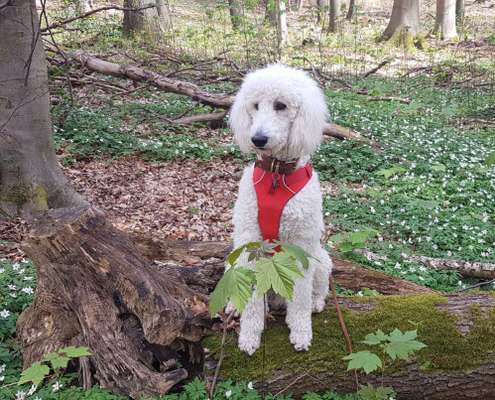 Foto Challenge Nr. 79-Beitrag-Bild