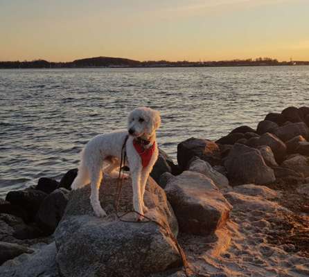 Dogorama Photo Challenge - Steine/Felsen-Beitrag-Bild