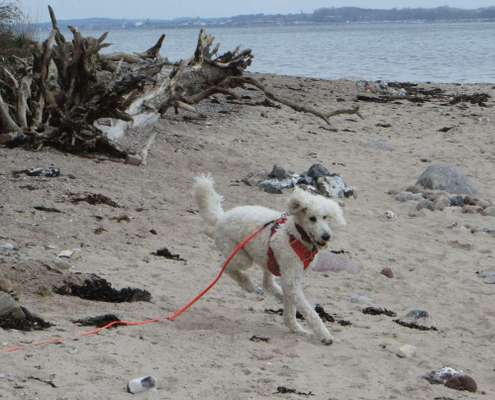 Fotochallenge Nr. 94 It's summer time-Beitrag-Bild