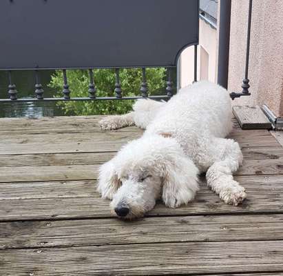 FOTO-Challenge  NR. 91: Die pure Entspannung-Beitrag-Bild