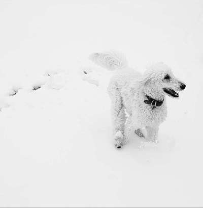Foto-Challenge 76: Foto in Schwarz-Weiss-Beitrag-Bild