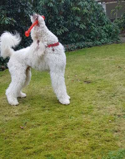 Fotochallenge Nr. 64-Beitrag-Bild