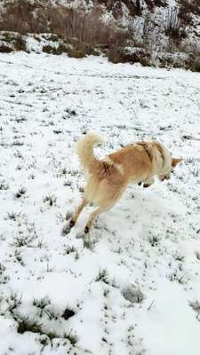 DNA-Tests-Beitrag-Bild