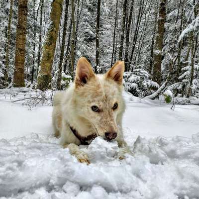 DNA-Tests-Beitrag-Bild