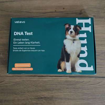 DNA-Tests-Beitrag-Bild