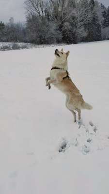 DNA-Tests-Beitrag-Bild