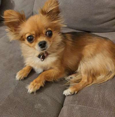 Lieblingsbild :D-Beitrag-Bild