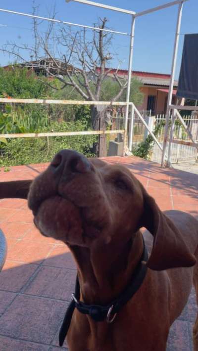 147. Foto Challenge: Bettelblick-Beitrag-Bild