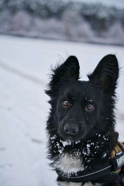 Challenge Nr. 15
Spiel im Schnee-Beitrag-Bild