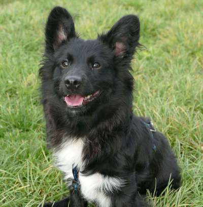 Das erste Foto-Beitrag-Bild