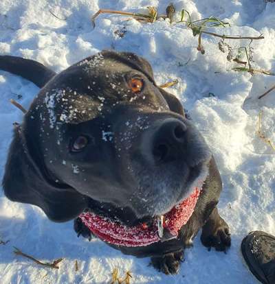 Lieblingsbild :D-Beitrag-Bild