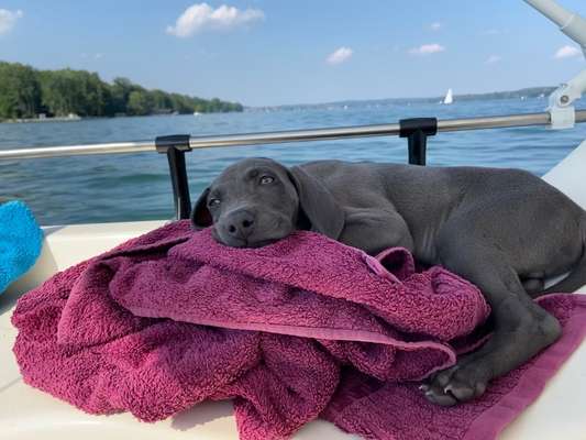 CHALLENGE NR. 18 - ON TOUR-Beitrag-Bild